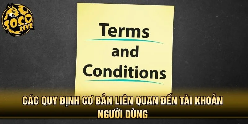 Các quy định cơ bản liên quan đến tài khoản người dùng 