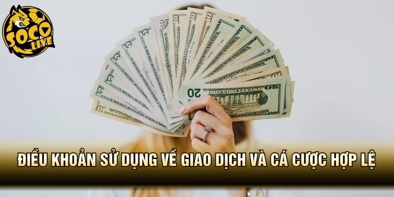 Điều khoản sử dụng về giao dịch và cá cược hợp lệ