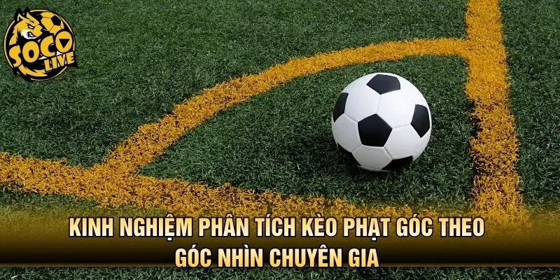Kinh nghiệm phân tích kèo phạt góc theo góc nhìn chuyên gia 