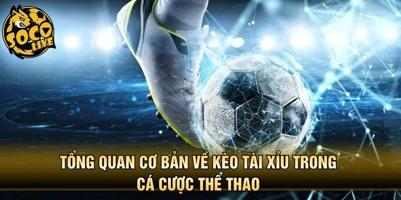 Tổng quan cơ bản về kèo tài xỉu trong cá cược thể thao 